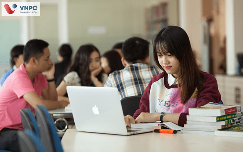 Du Học Hàn Quốc Ngành Quản Trị Kinh Doanh 